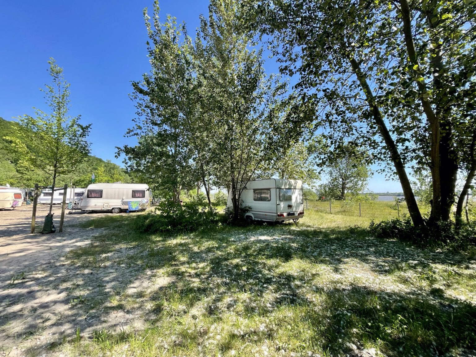 ElbeCamp | Naturnaher Campingplatz direkt am Elbestrand in Hamburg