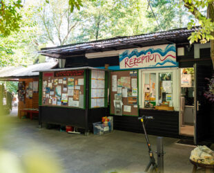 Rezeption ElbeCamp