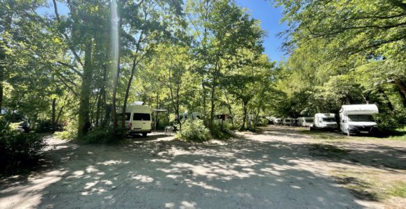 Parkverbot am Falkensteiner Ufer