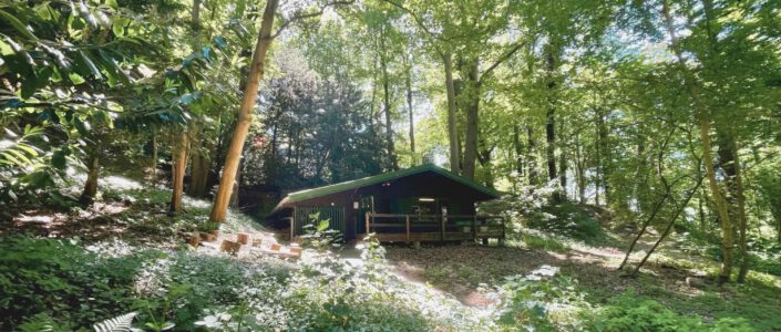 Neue Sommer-Workshops für Kinder in der WaldBude