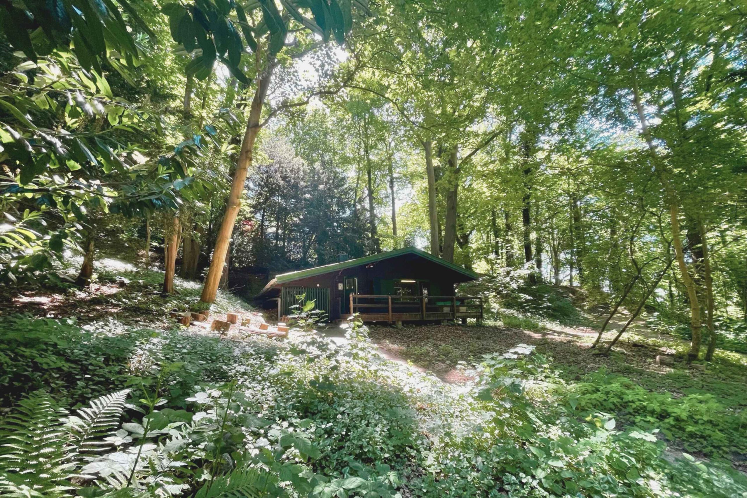 Neue Sommer-Workshops für Kinder in der WaldBude